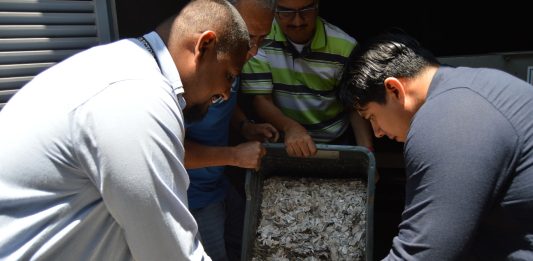 INE Colima destruye 8 mil 700 credenciales para votar devueltas o no recogidas