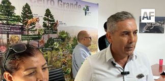 Refuerzan mantenimiento carretero y vigilancia por lluvias en Minatitlán; esperan alta afluencia por la Feria del Hongo