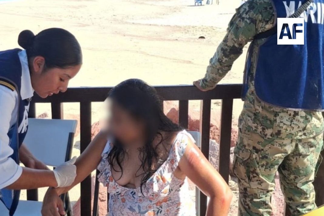 marina-rescate-vallarta