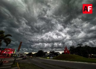 Genevieve se fortalece a huracán categoría 4; reforzará lluvias en Colima y el occidente del país