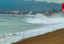 Polo se degrada a categoría 4 y comienza a alejarse de Colima; oleaje sigue siendo el principal riesgo: UEPC