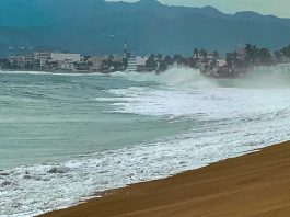 Polo se degrada a categoría 4 y comienza a alejarse de Colima; oleaje sigue siendo el principal riesgo: UEPC