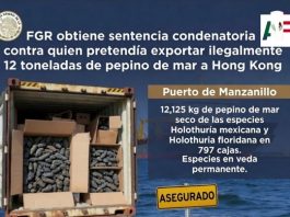 Condenan a hombre por intentar exportar ilegalmente 12 toneladas de pepino de mar desde Manzanillo