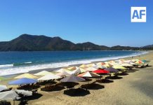 Playas del estado de Colima son aptas para uso recreativo; cumplen estándares de calidad del agua