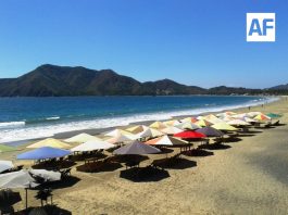 Playas del estado de Colima son aptas para uso recreativo; cumplen estándares de calidad del agua