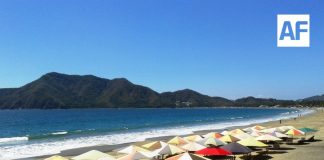 Playas del estado de Colima son aptas para uso recreativo; cumplen estándares de calidad del agua