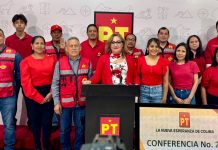 PT defenderá la 4T con agenda centrada en las mujeres: Alma Castillo