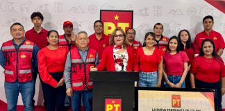 PT defenderá la 4T con agenda centrada en las mujeres: Alma Castillo