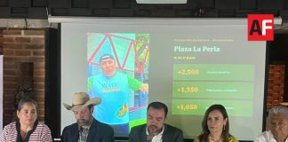 Industria exportadora lanza la Ruta del Mango para impulsar el consumo nacional desde Jalisco