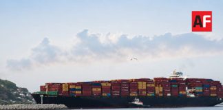 Puerto de Manzanillo recibió más de 800 buques mercantes en primer semestre del año