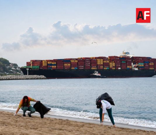 Puerto de Manzanillo recibió más de 800 buques mercantes en primer semestre del año