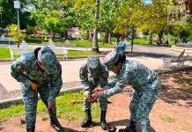 Guardia Nacional realiza jornada de reforestación en el Jardín Núñez de Colima