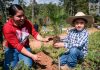 Impulsa Gobierno de Jalisco reforestación de la Meseta de Tapalpa con 40 mil plantas nativas