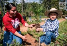 Impulsa Gobierno de Jalisco reforestación de la Meseta de Tapalpa con 40 mil plantas nativas