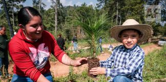 Impulsa Gobierno de Jalisco reforestación de la Meseta de Tapalpa con 40 mil plantas nativas