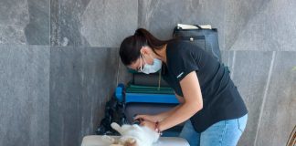 Salud Colima exhorta a prevenir enfermedades en animales para proteger a la población