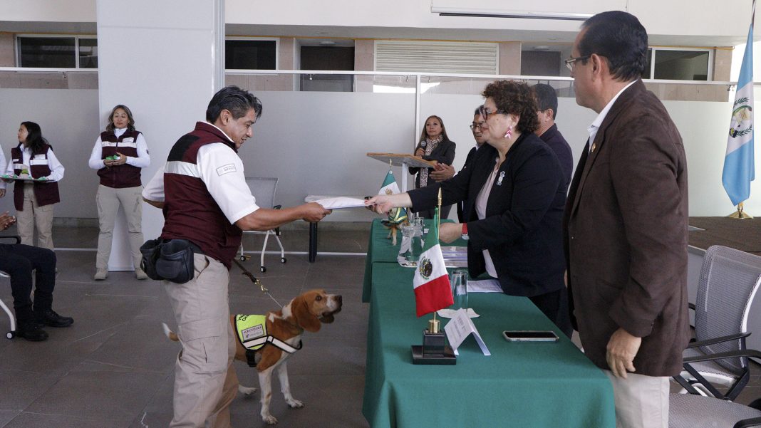 senasica canes capacitacion