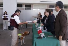 Senasica capacitará binomios caninos de Belice y República Dominicana para reforzar inspecciones sanitarias