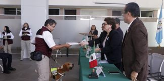 Senasica capacitará binomios caninos de Belice y República Dominicana para reforzar inspecciones sanitarias