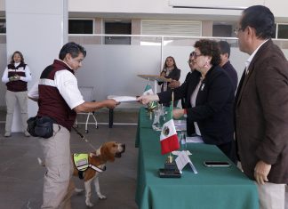 Senasica capacitará binomios caninos de Belice y República Dominicana para reforzar inspecciones sanitarias