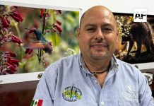 Activan comité de vigilancia para proteger la Reserva de la Biosfera Sierra de Manantlán; llaman a no extraer hongos durante la feria