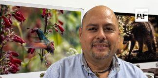 Activan comité de vigilancia para proteger la Reserva de la Biosfera Sierra de Manantlán; llaman a no extraer hongos durante la feria