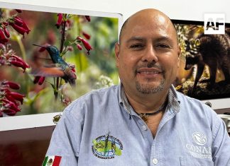Activan comité de vigilancia para proteger la Reserva de la Biosfera Sierra de Manantlán; llaman a no extraer hongos durante la feria