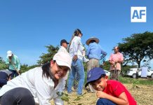 Colima se suma a la Jornada Nacional de Reforestación 2026