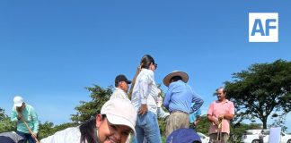 Colima se suma a la Jornada Nacional de Reforestación 2026