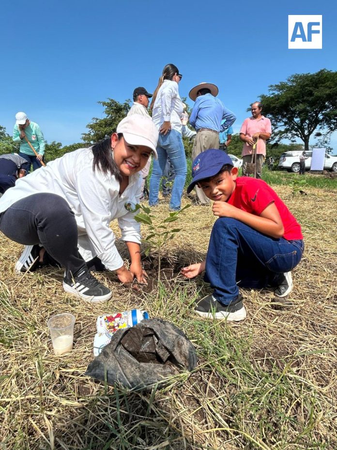 Colima se suma a la Jornada Nacional de Reforestación 20269