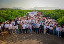 Con ReforestAcción, UdeC plantará más de 12 mil árboles durante 2026