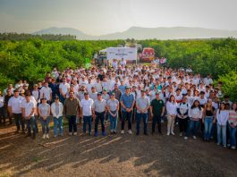 Con ReforestAcción, UdeC plantará más de 12 mil árboles durante 2026