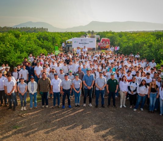 Con ReforestAcción, UdeC plantará más de 12 mil árboles durante 2026