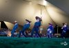Gran Ballet Nacional de México fusiona danza folklórica y arte ecuestre en Aguascalientes