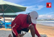 Aseguran hasta 10 cocodrilos en playas y zonas urbanas de Manzanillo durante esta semana
