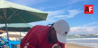 Aseguran hasta 10 cocodrilos en playas y zonas urbanas de Manzanillo durante esta semana
