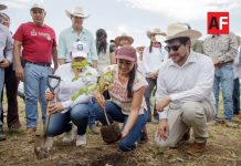 Colima se suma a la Jornada Nacional de Reforestación 2026