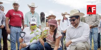 Colima se suma a la Jornada Nacional de Reforestación 2026
