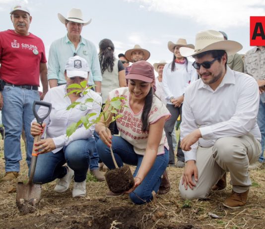 Colima se suma a la Jornada Nacional de Reforestación 2026