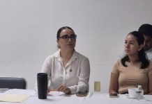 Participa UdeC en análisis de iniciativa para una transición energética justa en Colima