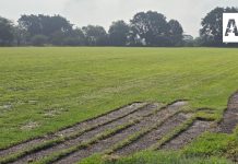 Tlaquepaque se consolida como principal productor de pasto en rollo del país