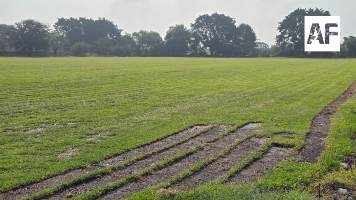 Tlaquepaque se consolida como principal productor de pasto en rollo del país3