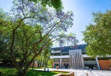 Jalisco presentó la peor tasa de desempleo después de la pandemia 2020: ITESO