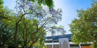 Jalisco presentó la peor tasa de desempleo después de la pandemia 2020: ITESO