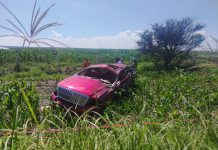 Volcadura de camioneta deja cuatro muertos y tres menores lesionados en San Miguel el Alto