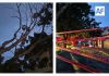 Árbol cae sobre cables de alta tensión y deja sin luz a varias colonias en Colima