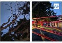 Árbol cae sobre cables de alta tensión y deja sin luz a varias colonias en Colima