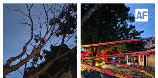 Árbol cae sobre cables de alta tensión y deja sin luz a varias colonias en Colima