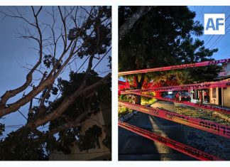 Árbol cae sobre cables de alta tensión y deja sin luz a varias colonias en Colima