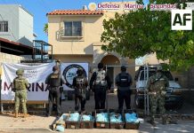 Aseguran en Baja California más de 100 kilos de pastillas de fentanilo